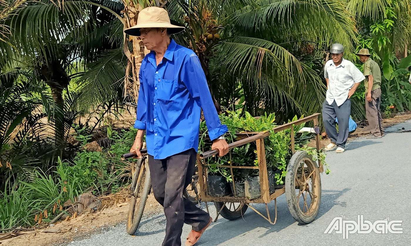 CCB trồng cây xanh bảo vệ môi trường.