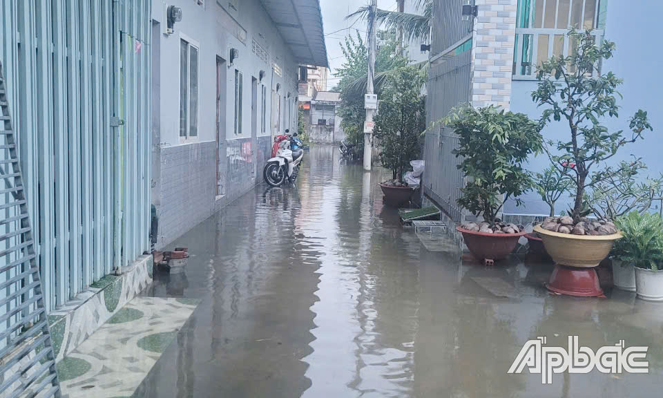 Triêu cường gây ngập một số con hẻm tại phường 10, TP. Mỹ Tho.