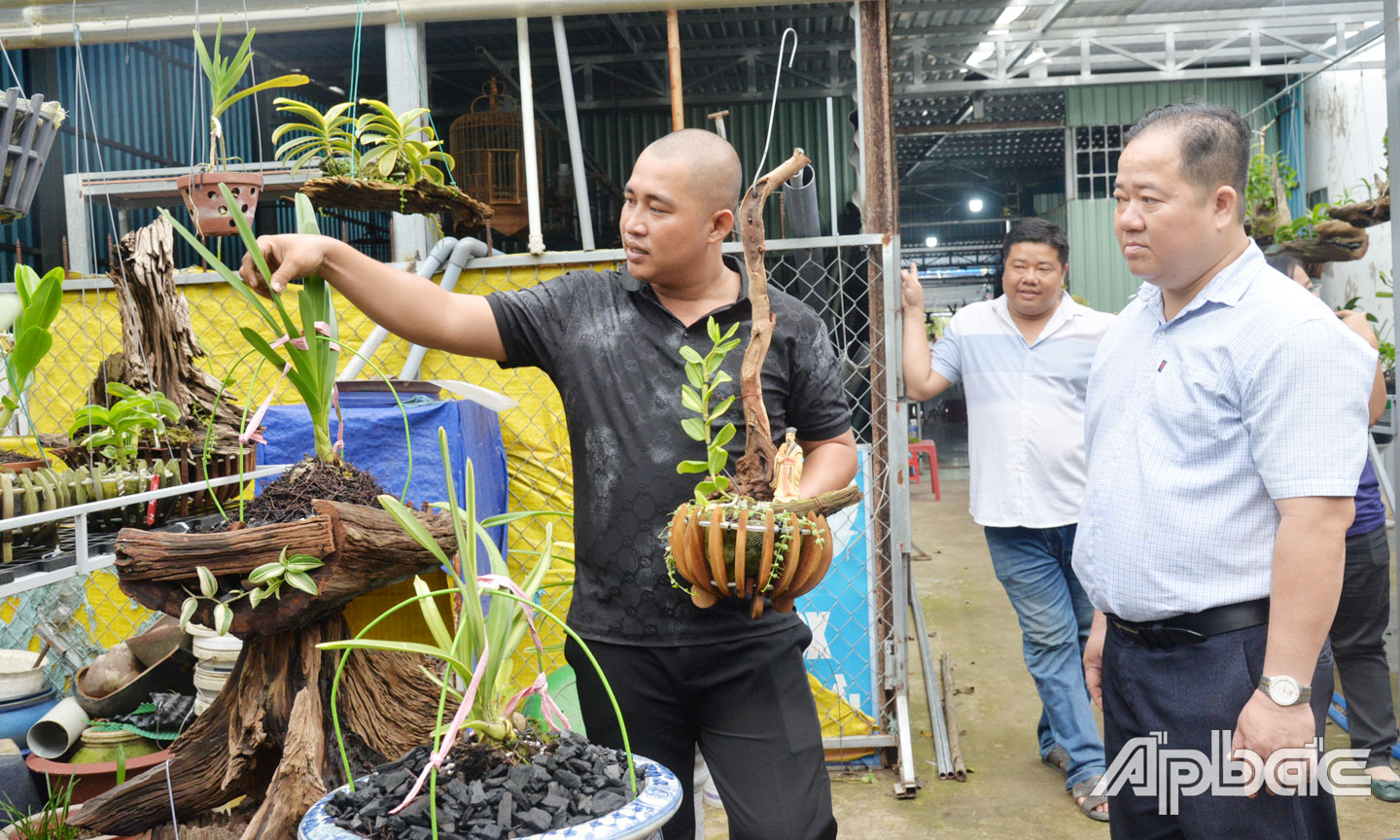 Anh Nhân (áo đen) giới thiệu các dòng lan.