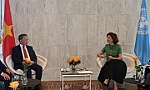 UNESCO đánh giá cao 