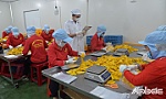 Tự tin khởi nghiệp từ trái cây sấy dẻo