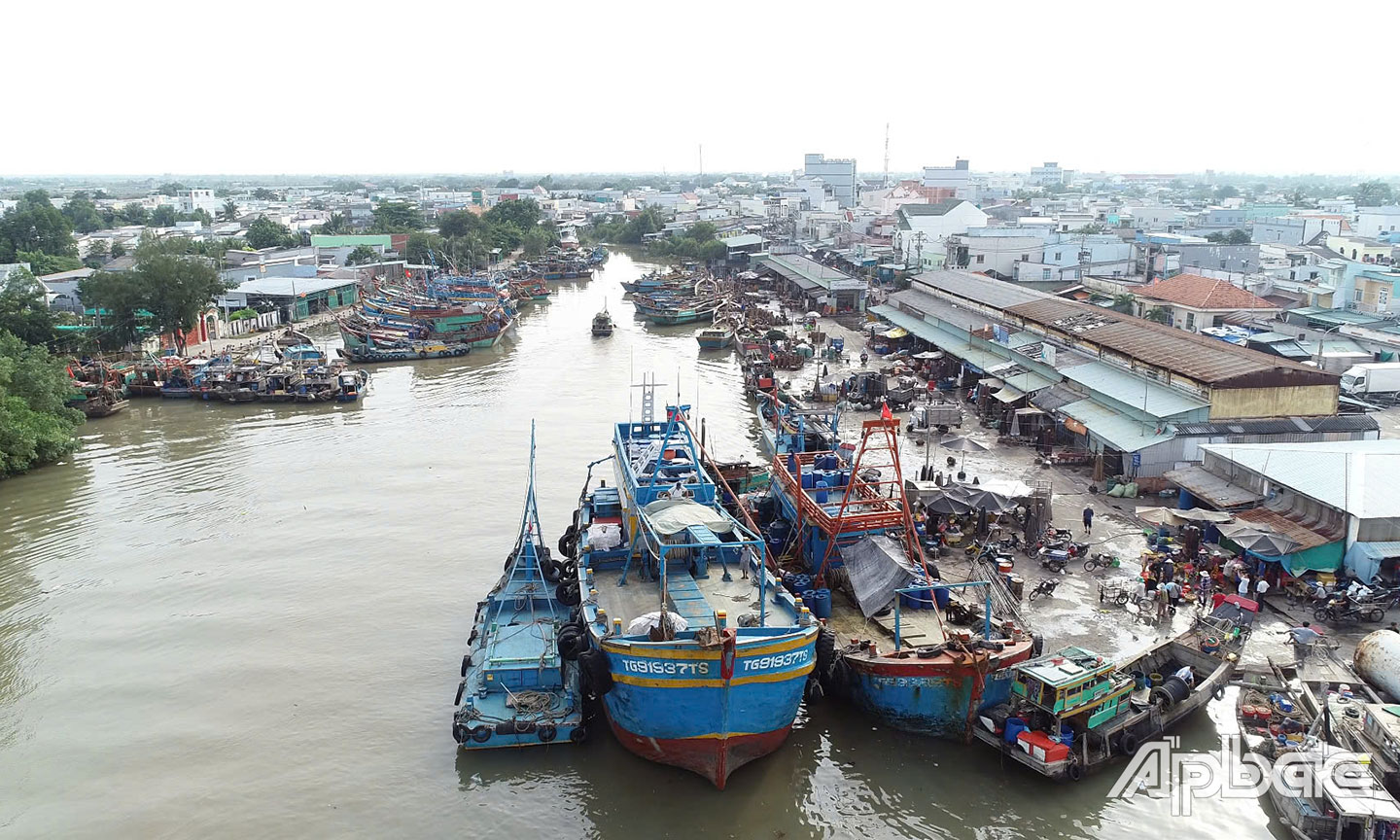 Khai thác, đánh bắt và nuôi trồng thủy sản là kinh tế mũi nhọn của thị trấn Vàm Láng.