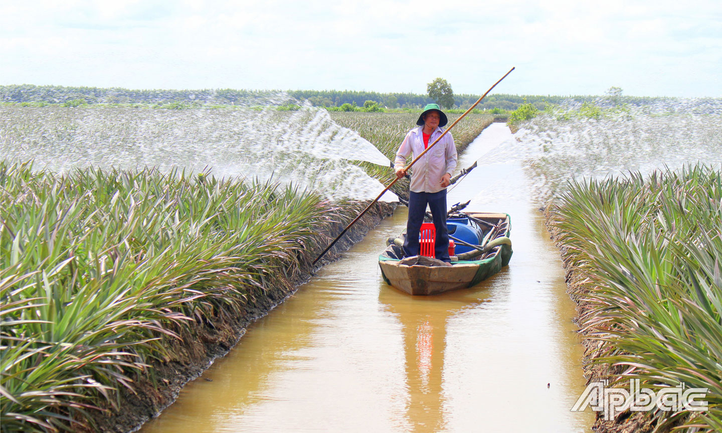 Người dân tin tưởng vào chủ trương, chính sách địa phương, phấn đấu phát triển sản xuất.