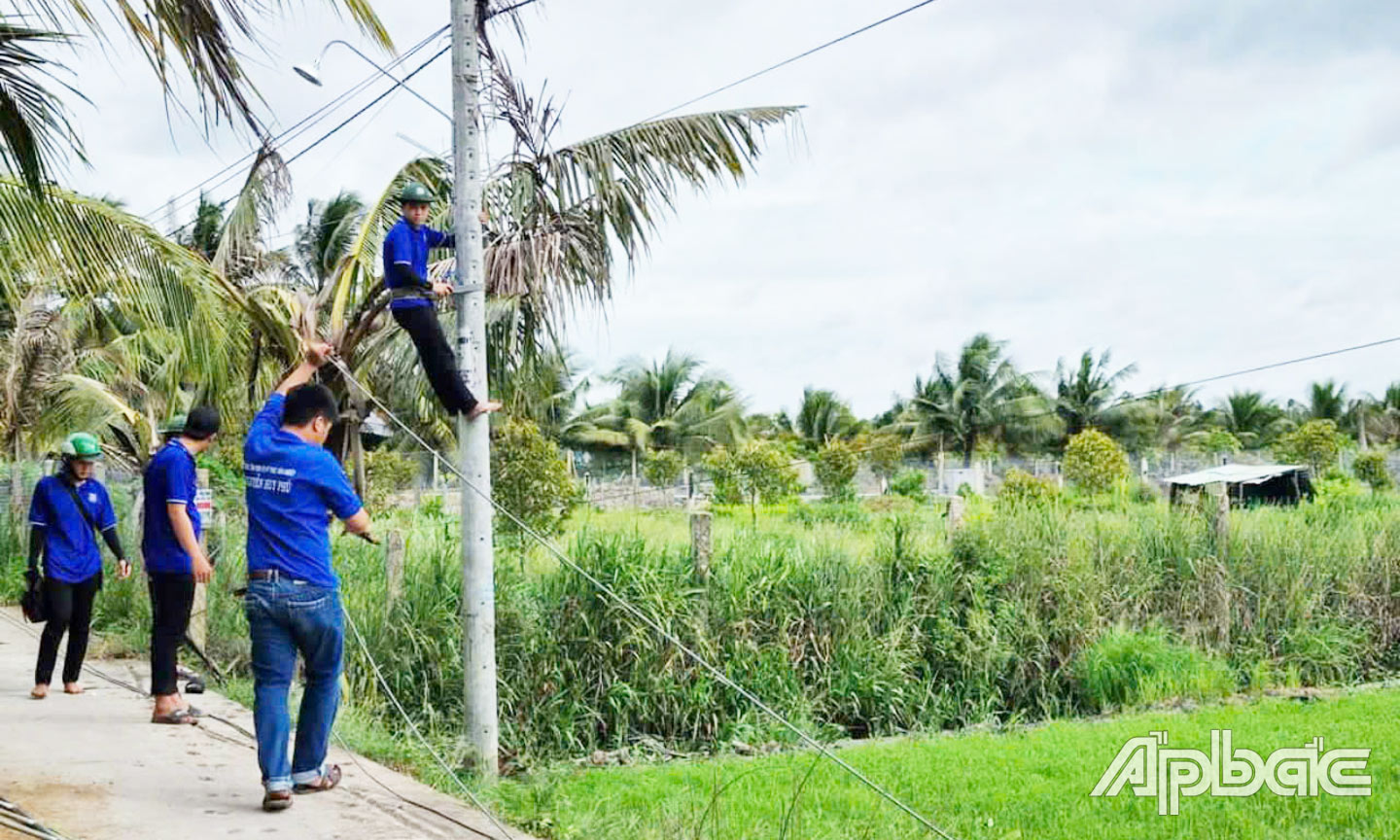 Phối hợp thực hiện công trình “Thắp sáng đường quê” tại ấp Tân Hòa, Tân Phong (xã Tân Hội). 