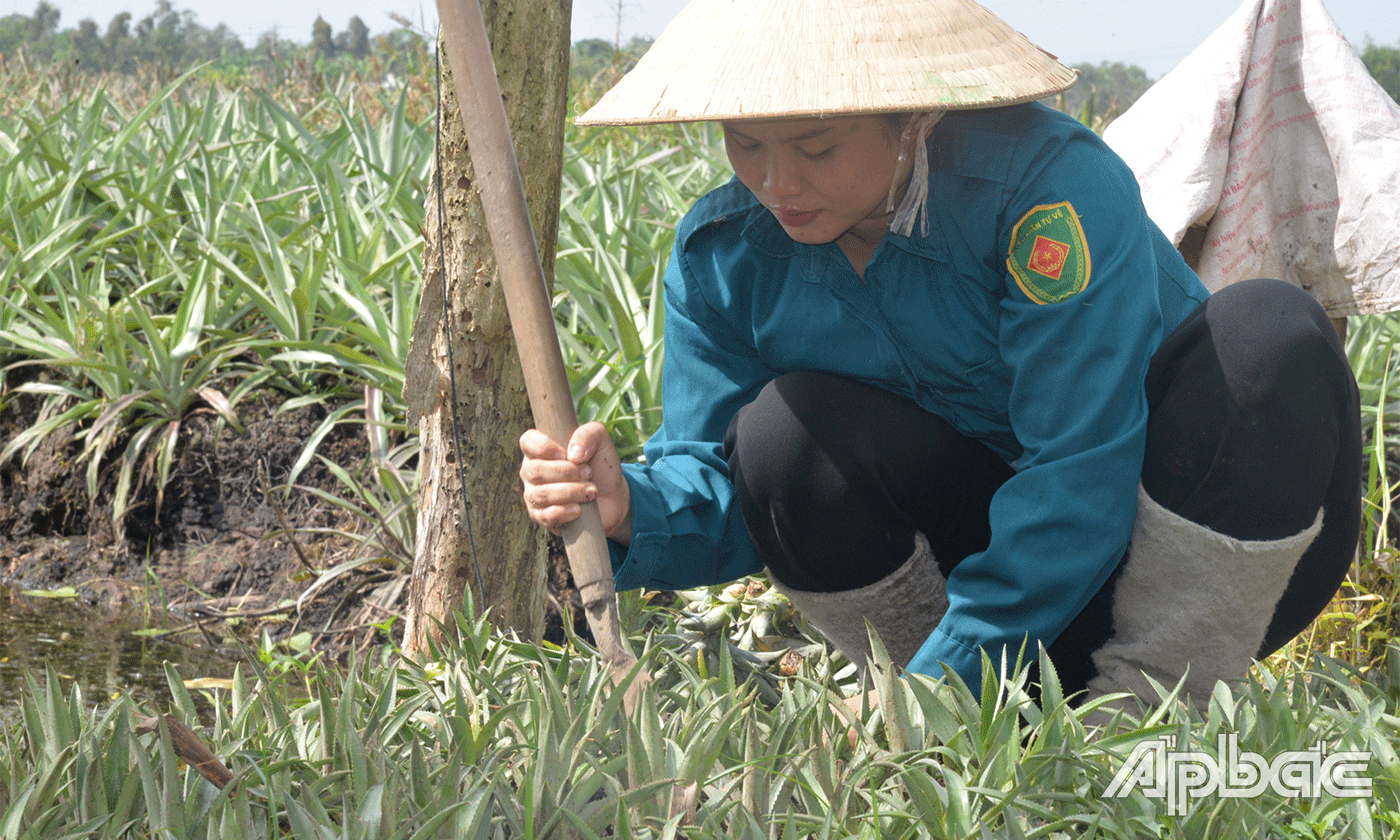 Lê Thị Bích Phượng.