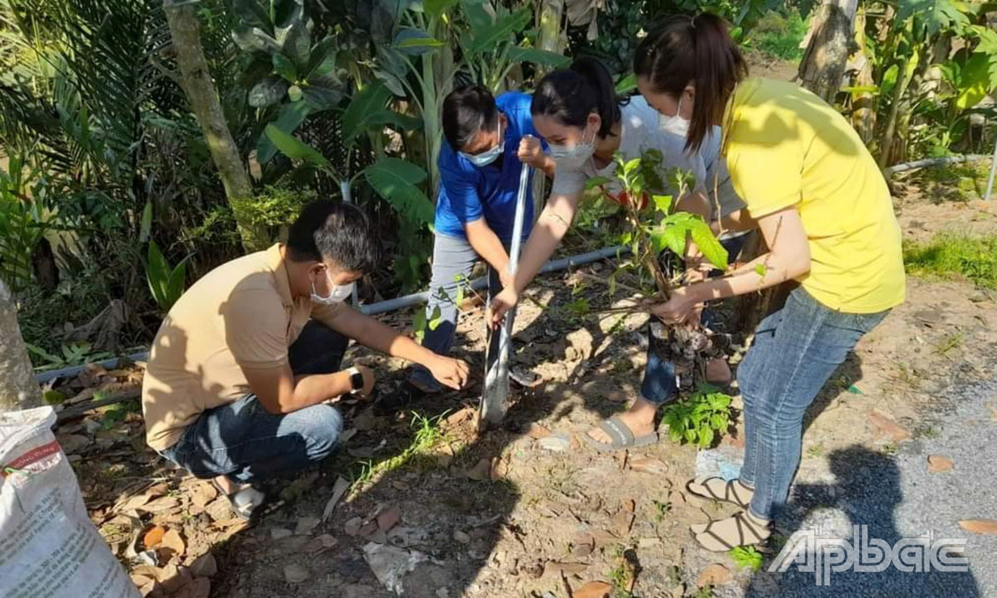 Chính quyền và nhân dân xã An Thái Đông trồng cây ven đường tạo cảnh quan.