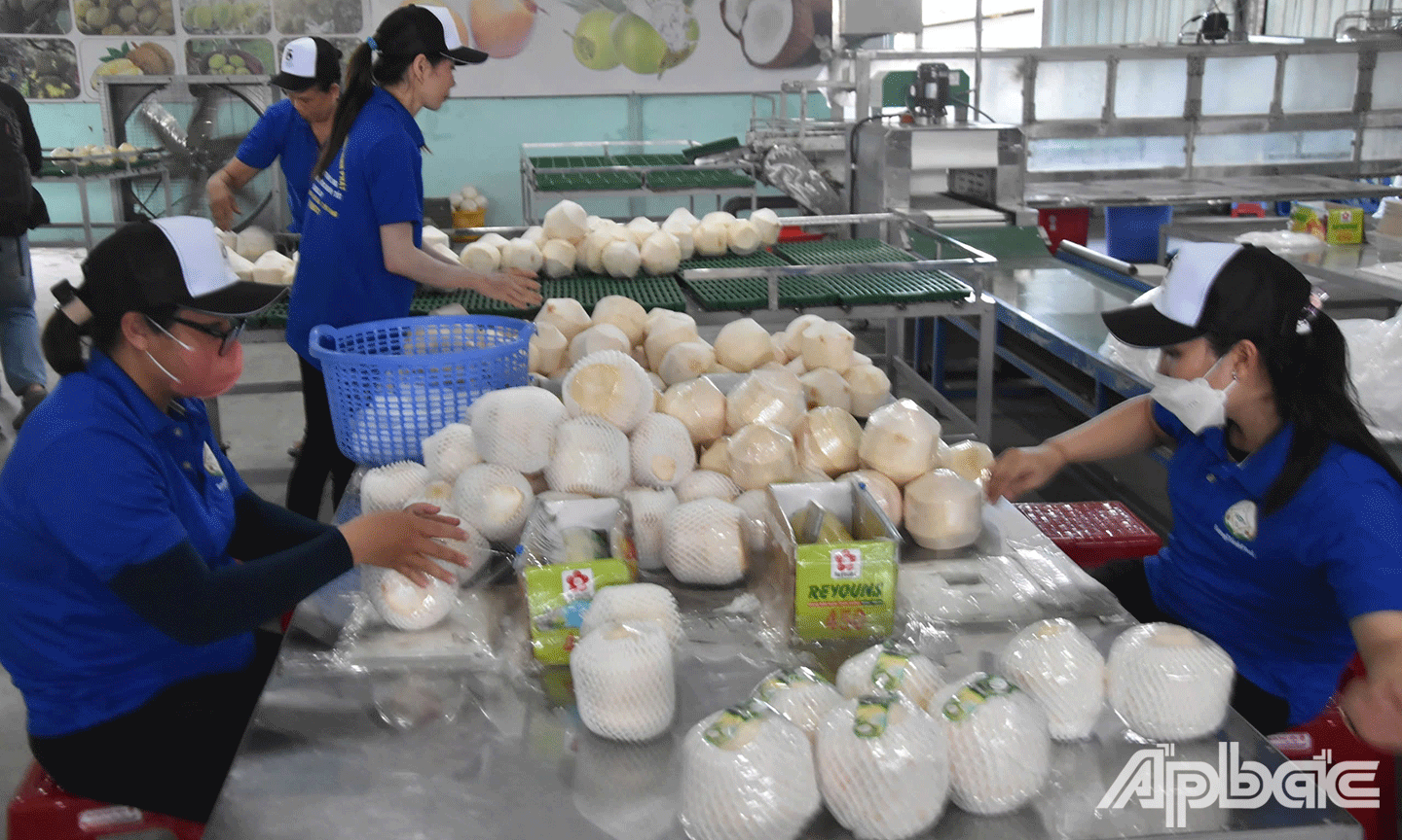Nhân viên tham gia chế biến dừa tươi tại 