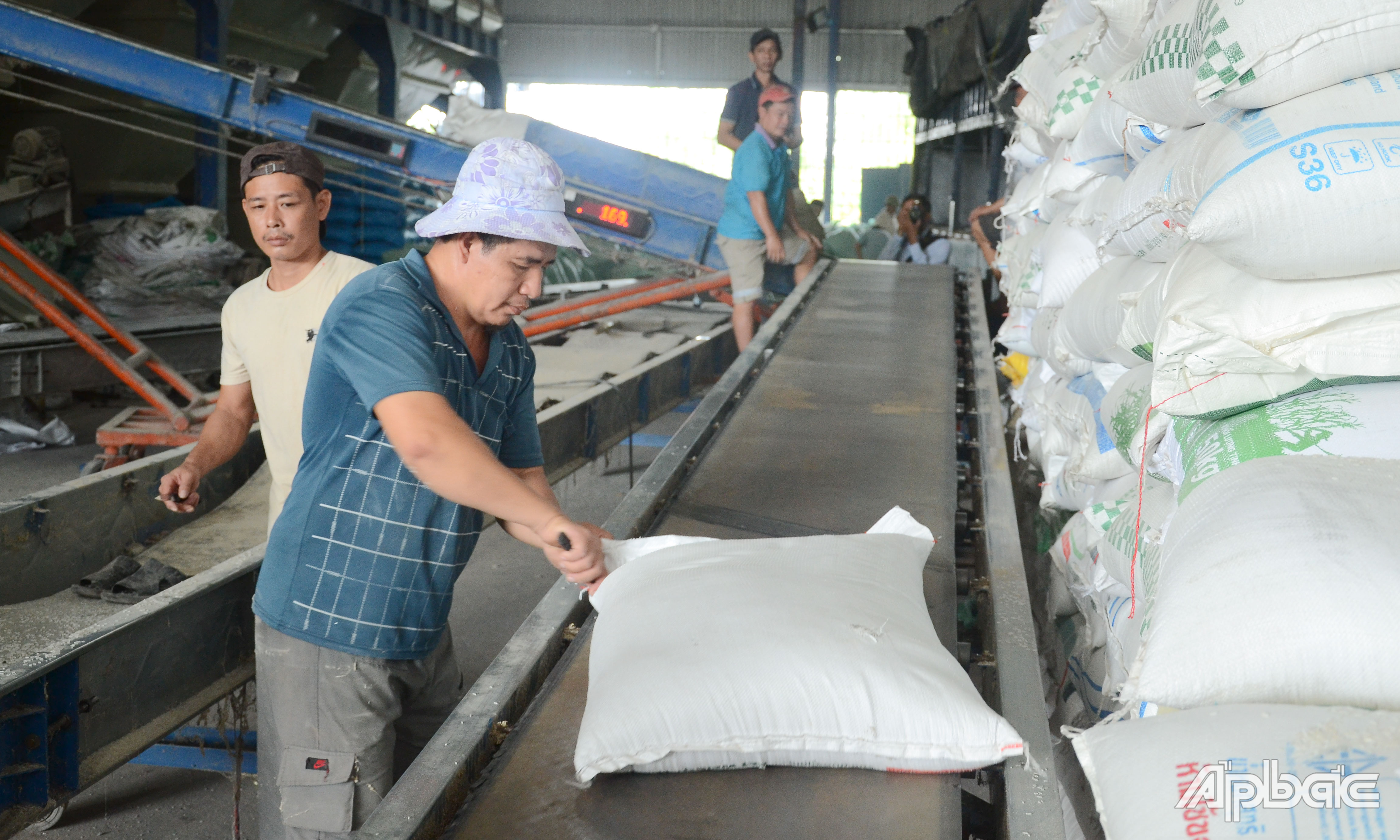 Ấn Độ gỡ bỏ lệnh cấm xuất khẩu sẽ ảnh hưởng đến tình hình xuất khẩu gạo của Việt Nam.