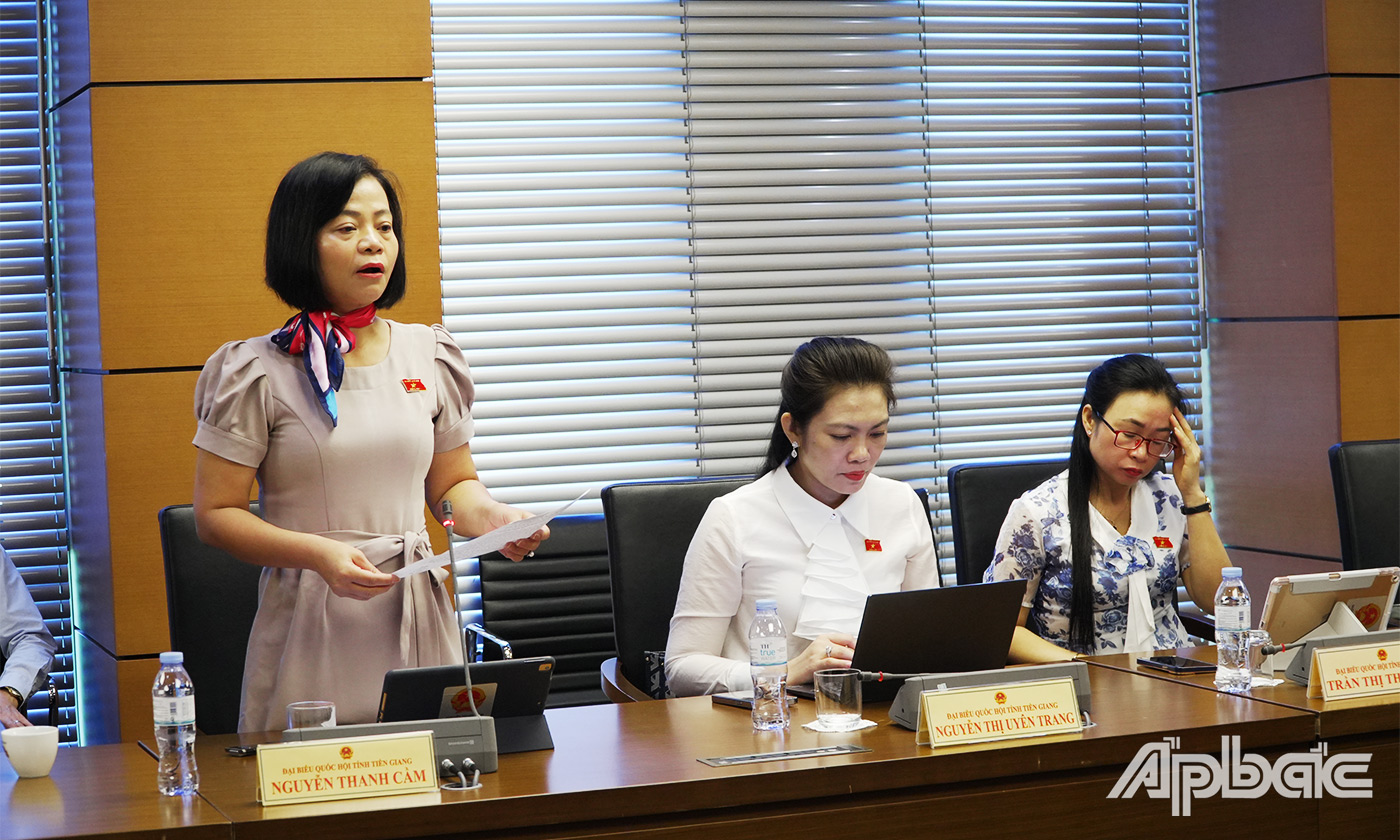 Đại biểu Nguyễn Thanh Cầm phát biểu thảo luận tại tổ