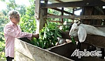 Xã Thạnh Lộc thực hiện mục tiêu giảm nghèo bền vững