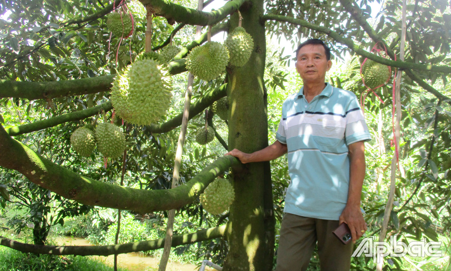 Ông Thủy bên vườn sầu riêng.