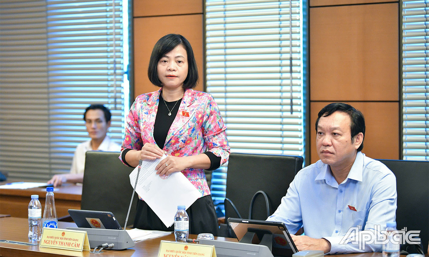 Đại biểu Nguyễn Thanh Cầm phát biểu thảo luận tại tổ
