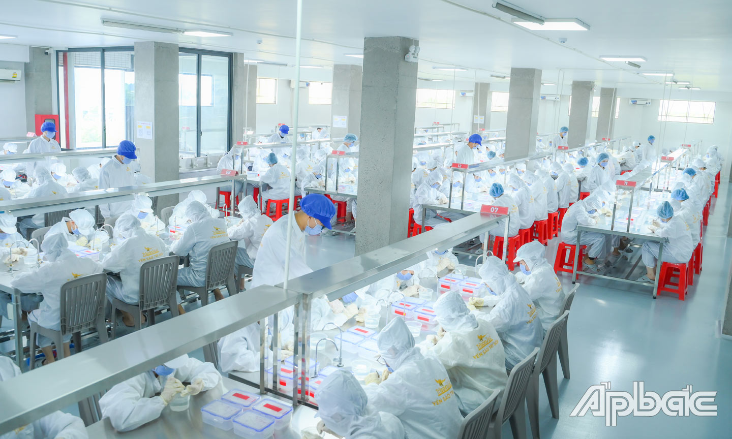 Công ty TNHH TMDV Trí Sơn đang tập trung sản xuất hàng hóa phục vụ tết. 