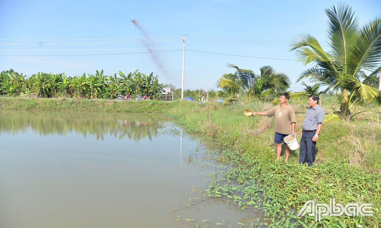 Anh Mộng thoát nghèo từ mô hình  nuôi cá kiểng.