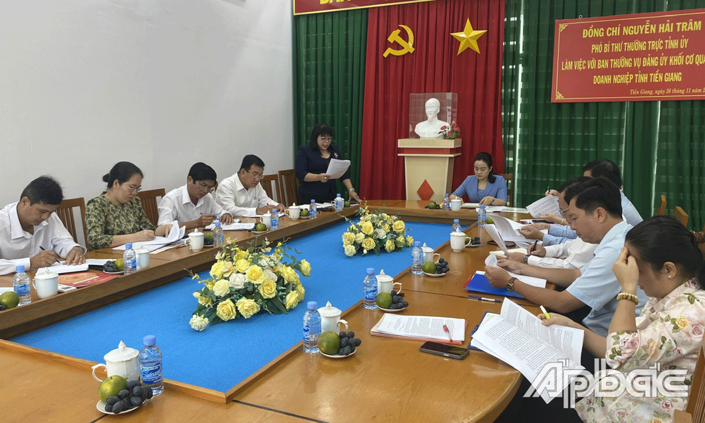 Bí thư Đảng uỷ Khối Thái Ngọc Bảo Trâm phát biểu tại buổi làm việc.