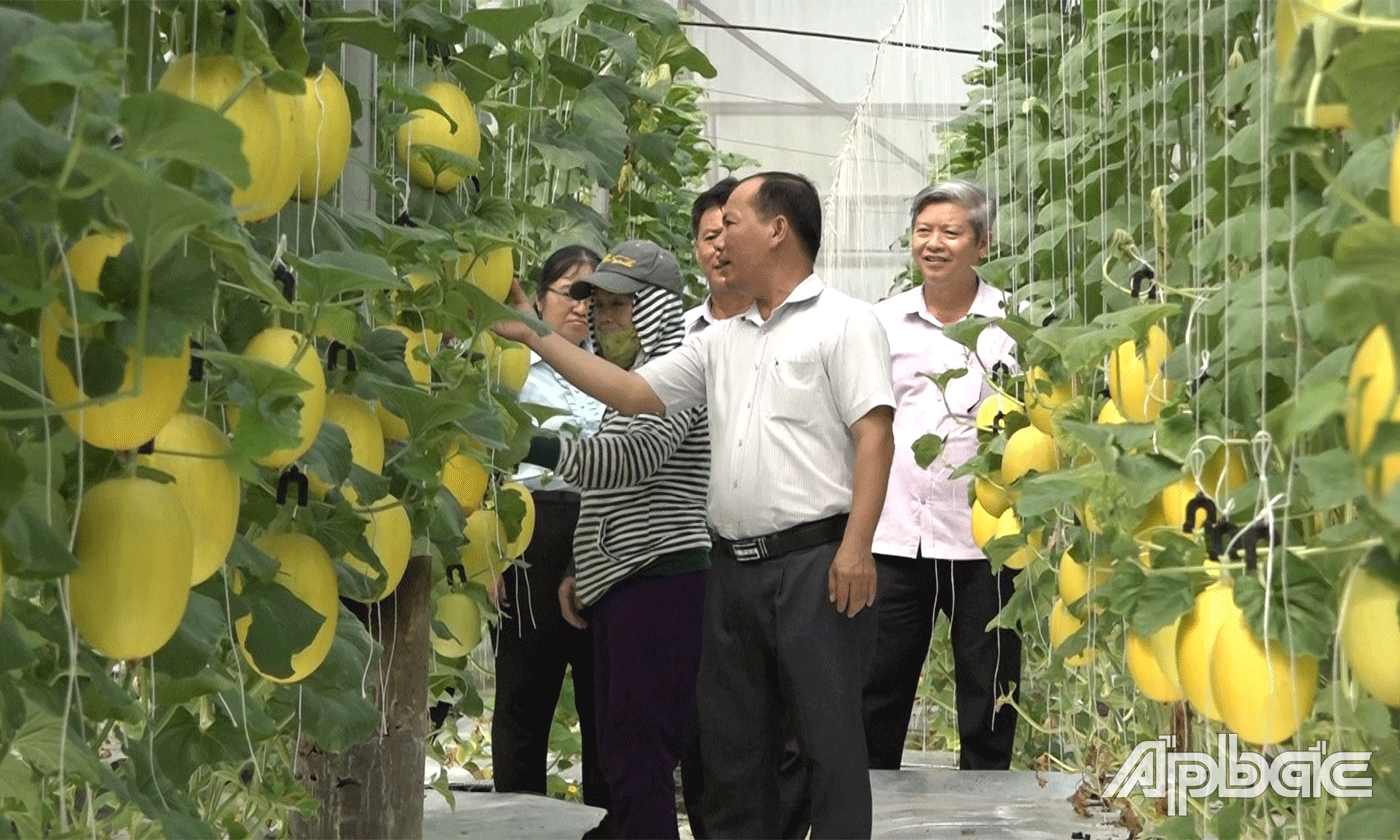 Mô hình phát triển kinh tế của xã NTM nâng cao Long Bình Điền.