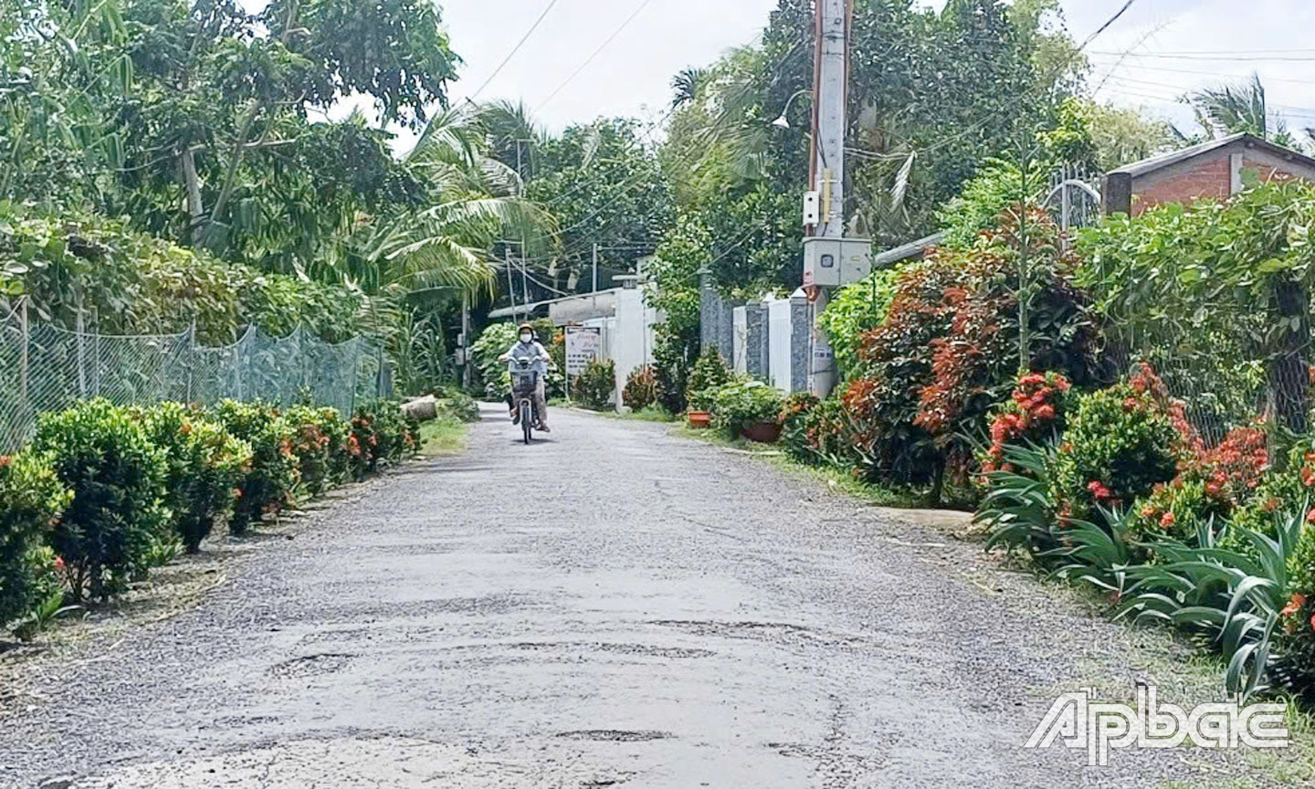 “Tuyến đường hoa” là một trong những mô hình nổi bật trong Phong trào trên địa bàn huyện Cái Bè.