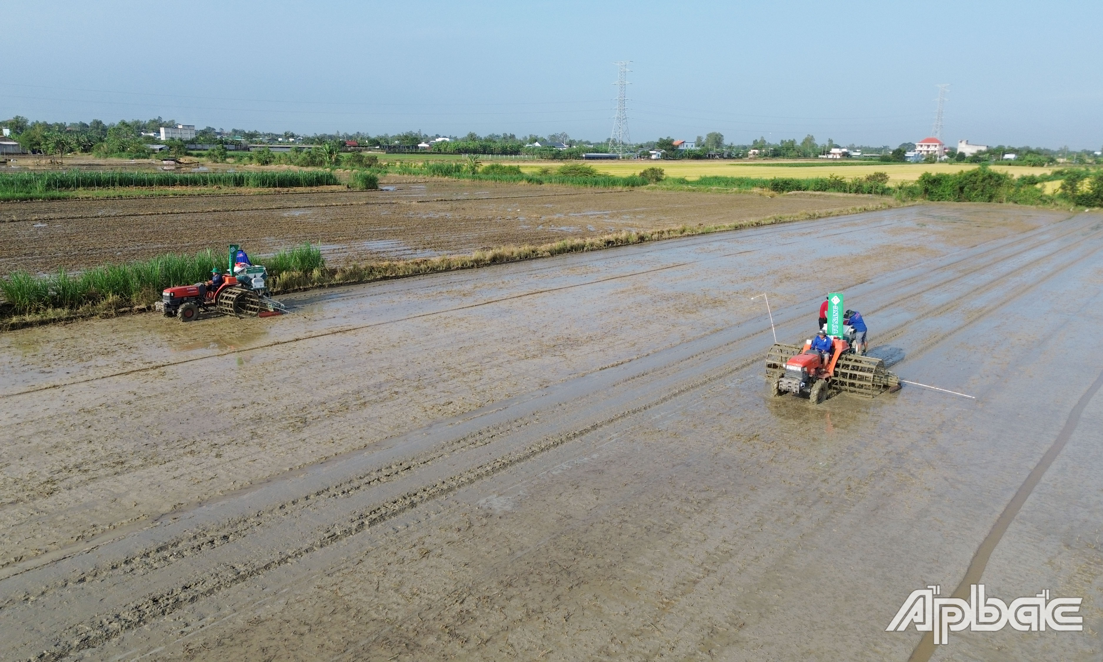Nông dân các huyện phía Đông khẩn trương xuống giống vụ lúa đông xuân.