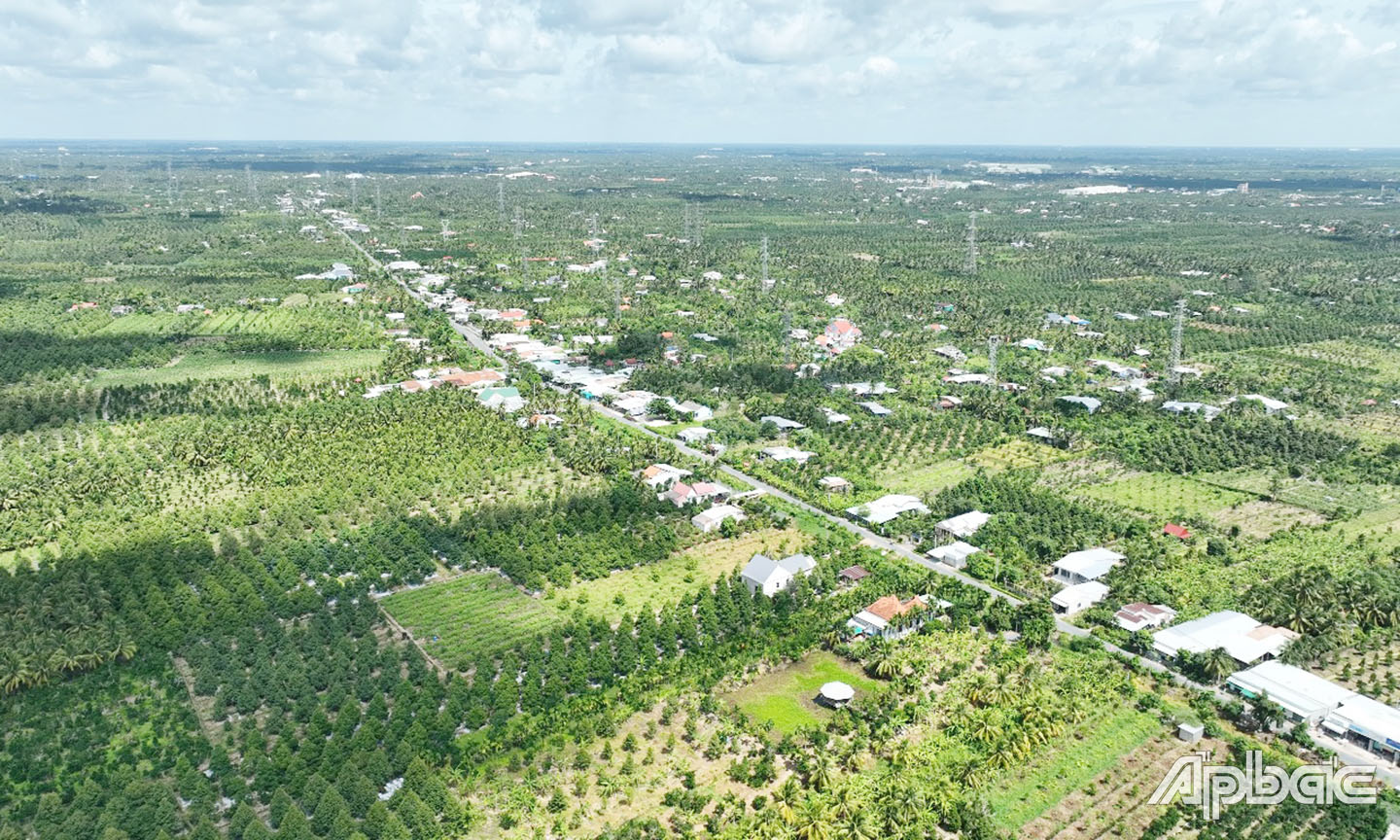 Diện mạo vùng quê Cai Lậy thay đổi nhờ cây sầu riêng.