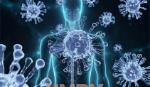 Vì sao virus HMPV không bùng phát thành đại dịch như COVID-19?