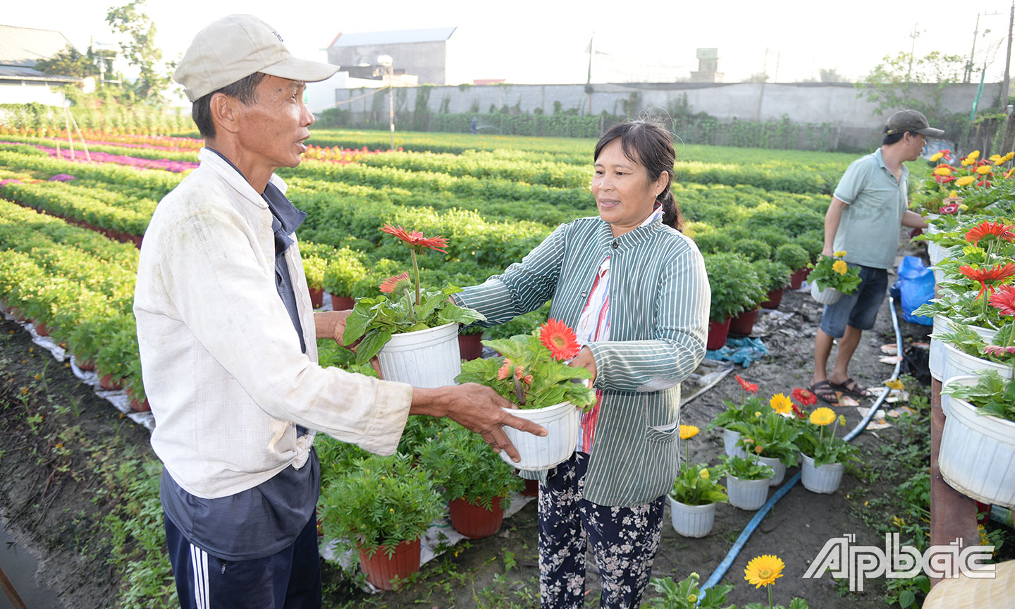Gia đình ông Chín Long vận chuyển hoa tết để giao cho các thương lái.