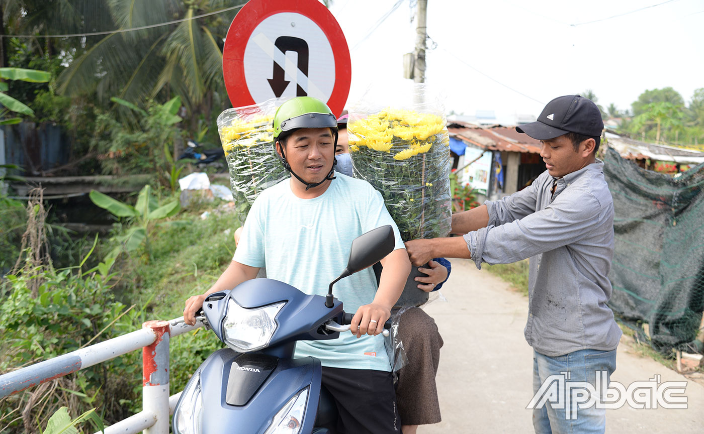 Người dân đến làng hoa mua hoa về chưng tết.