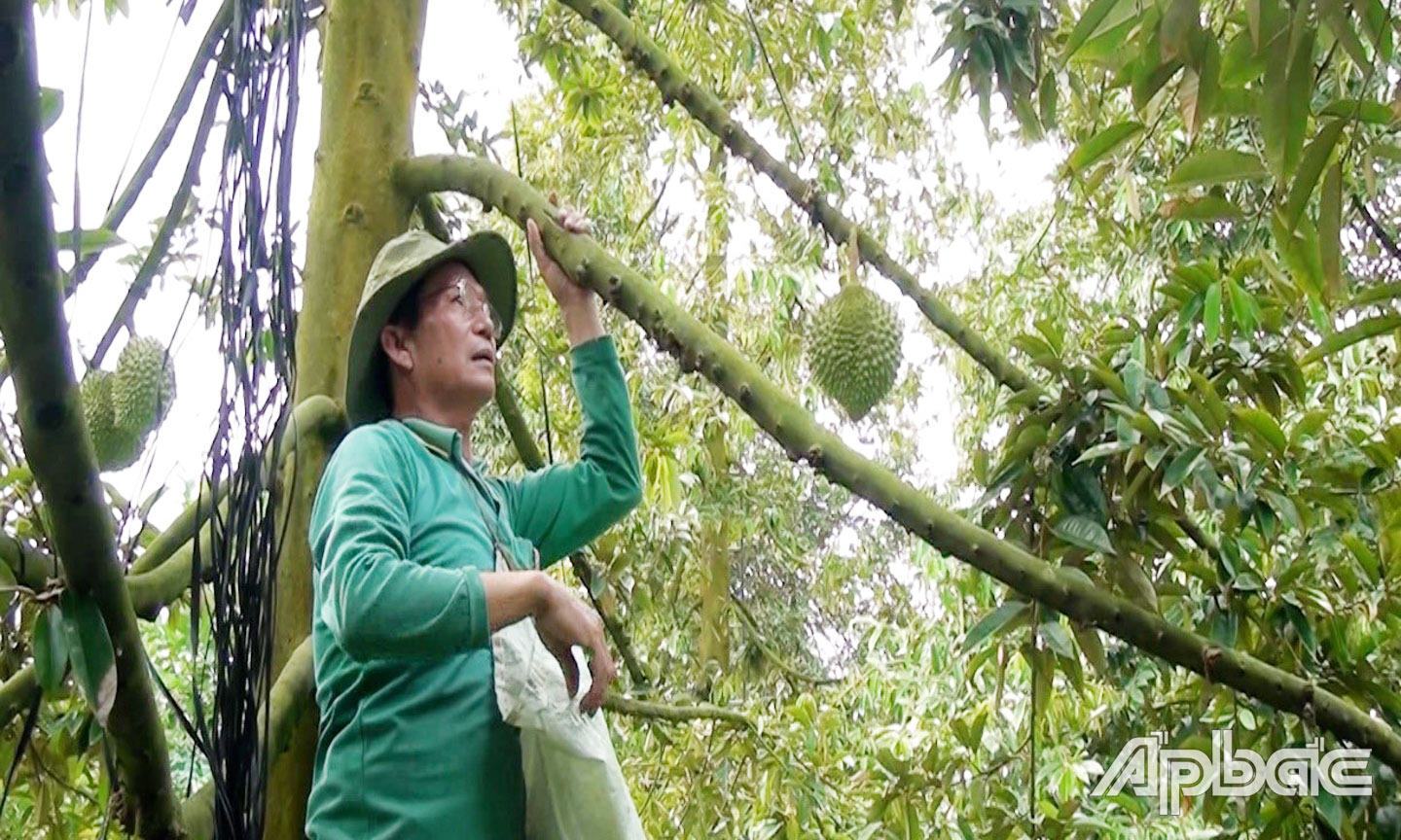 Ông Trần Văn Ôi được chính quyền công nhận đât danh hiệu NDSX-KD giỏi cấp huyện năm 2024.