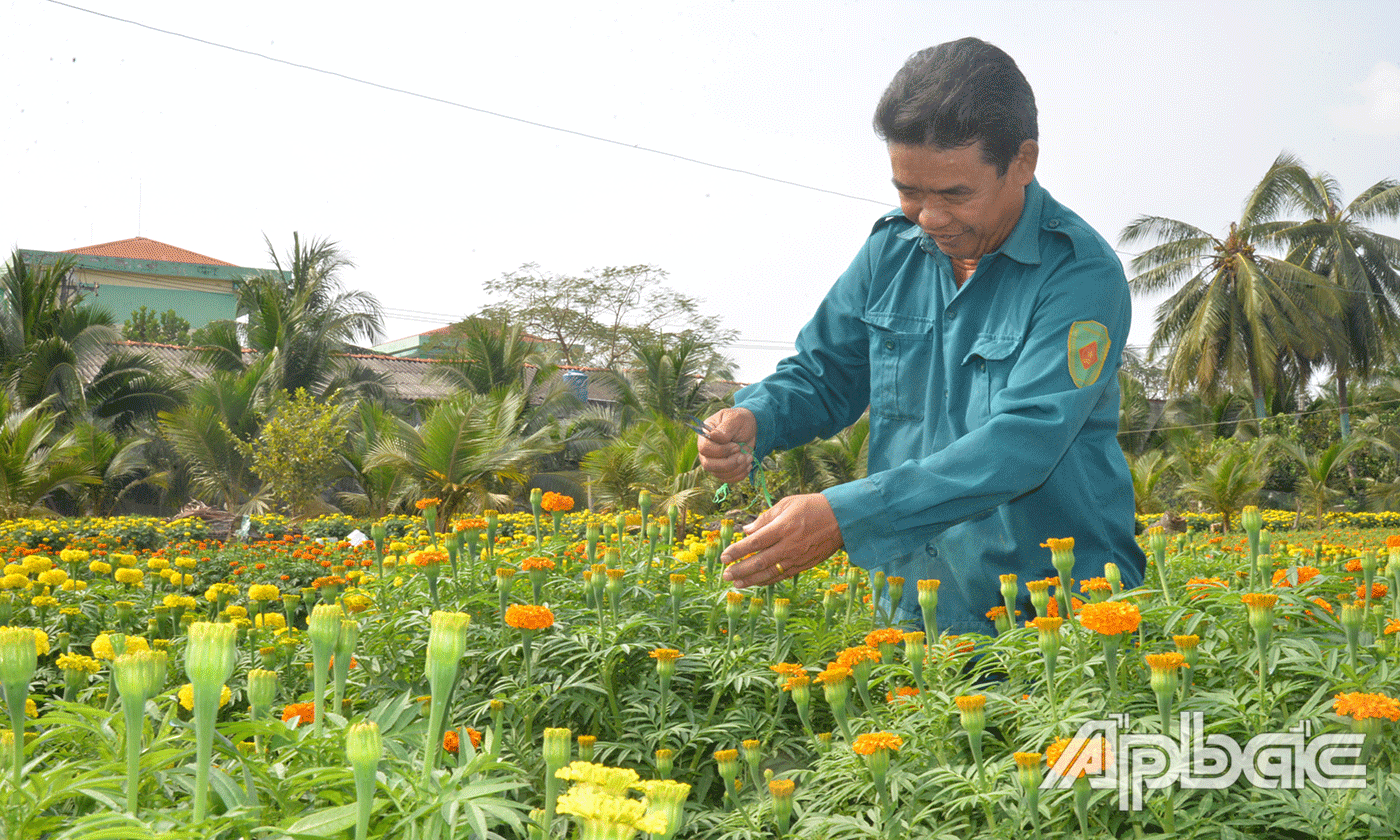 CCB Lê Văn Tiền chăm sóc hoa.