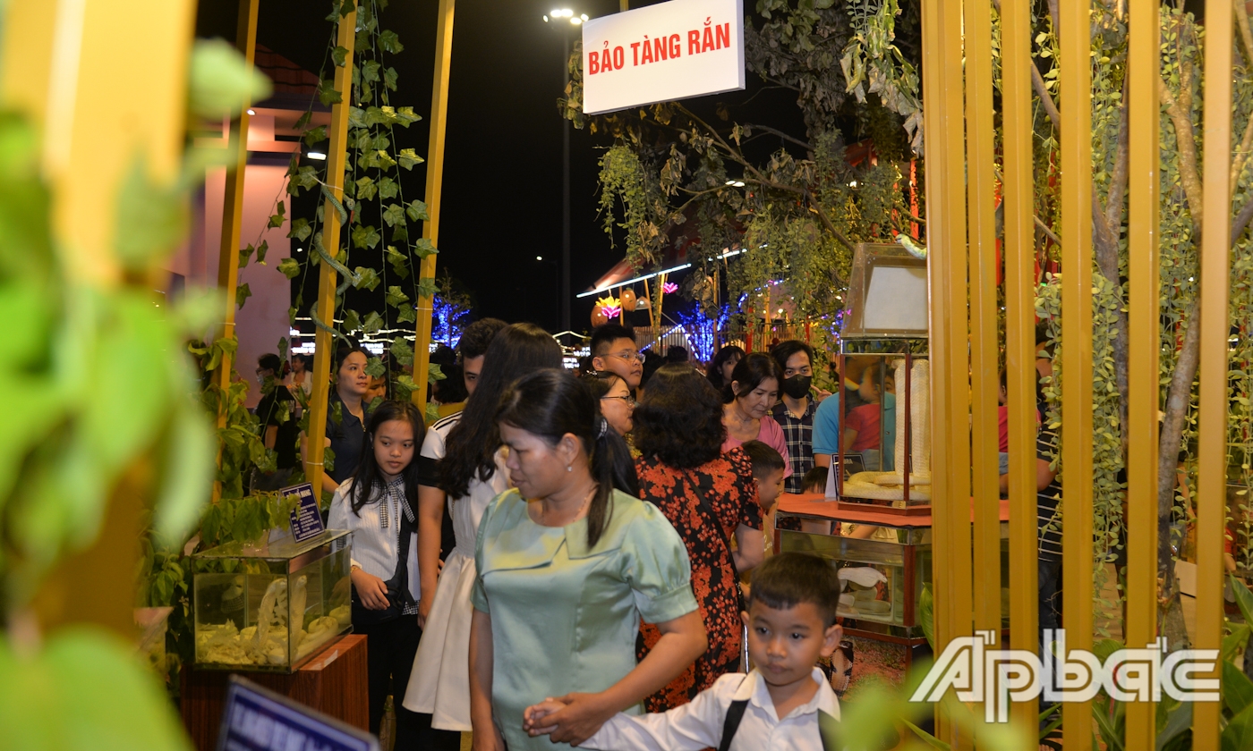 Trưng bày tiêu bản rắn được trích xuất từ Bảo tàng rắn trực thuộc Trại rắn Đồng Tâm được Trung tâm sách kỷ lục Việt Nam xác nhận là Bảo tàng rắn đầu tiên lưu giữ nhiều loài rắn nhất Việt Nam. 