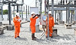 Tiền Giang: Hưởng ứng tích cực Giờ Trái đất năm 2025