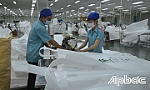 Tiền Giang quyết tâm tìm lời giải tăng trưởng kinh tế - Bài 4: Khơi thông dòng vốn đầu tư