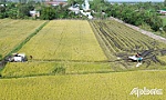 Bài 1: Chuyển từ lượng sang chất