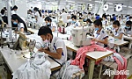 Huyện Châu Thành: Tăng tốc về đích các chỉ tiêu Nghị quyết