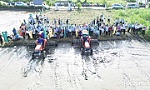 Bài cuối: Nâng tầm hạt gạo Việt