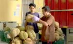 Sầu riêng Việt Nam thêm đối thủ ở Trung Quốc