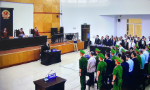 Ông Trịnh Văn Quyết vắng mặt tại tòa vì nguy cơ tử vong cao