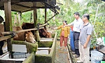 Quỹ Hỗ trợ nông dân tỉnh Tiền Giang: Động lực thúc đẩy kinh tế nông thôn