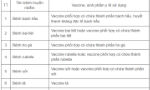 Bộ Y tế đề xuất về đối tượng bắt buộc phải sử dụng vaccine