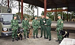 Lời hứa của Việt Nam