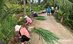 Tân Thạnh phấn đấu về đích xã nông thôn mới nâng cao