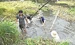 Huyện Chợ Gạo: Chủ động phòng, chống hạn, xâm nhập mặn