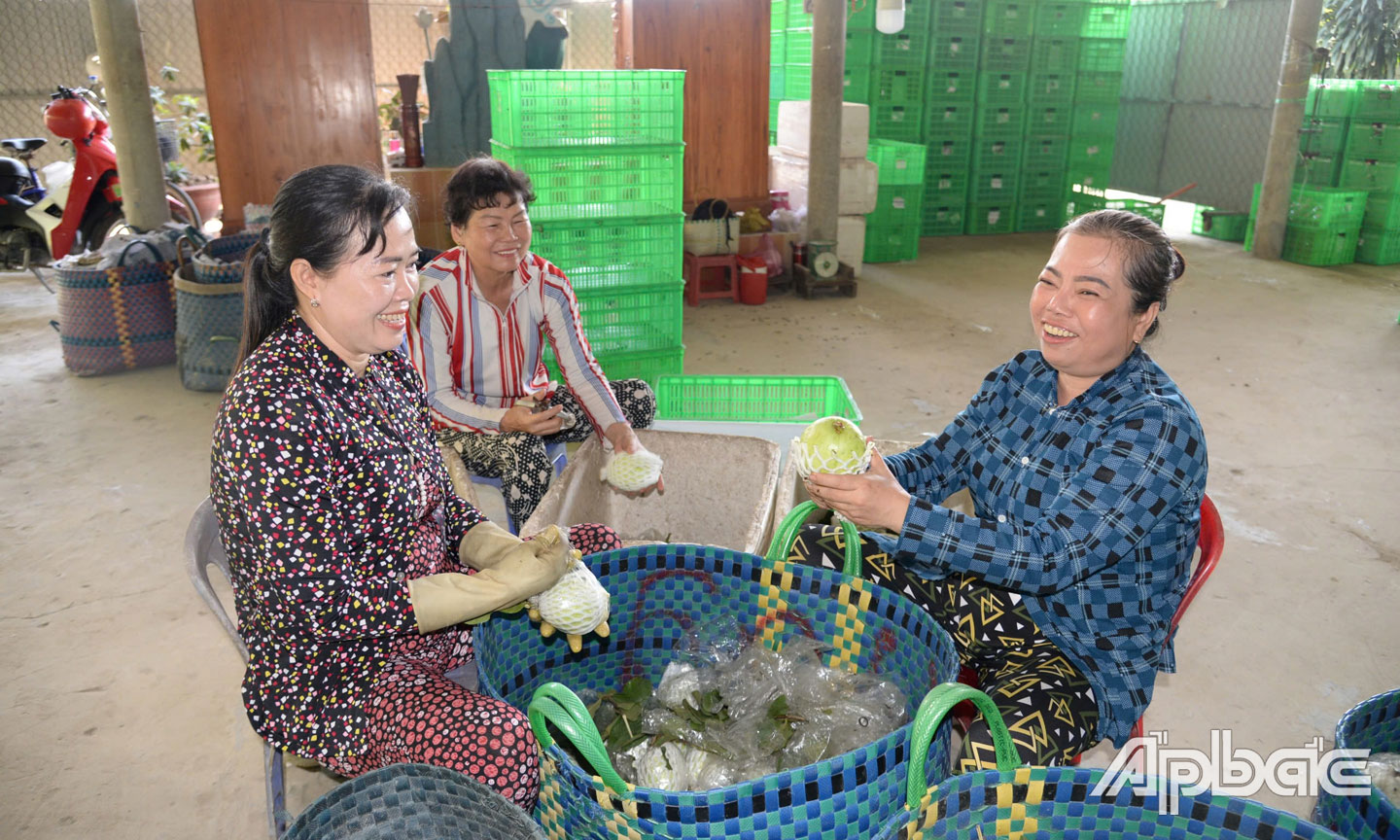 Huyện Cái Bè tập trung chăm lo, phát triển kinh tế cho nhân dân. 