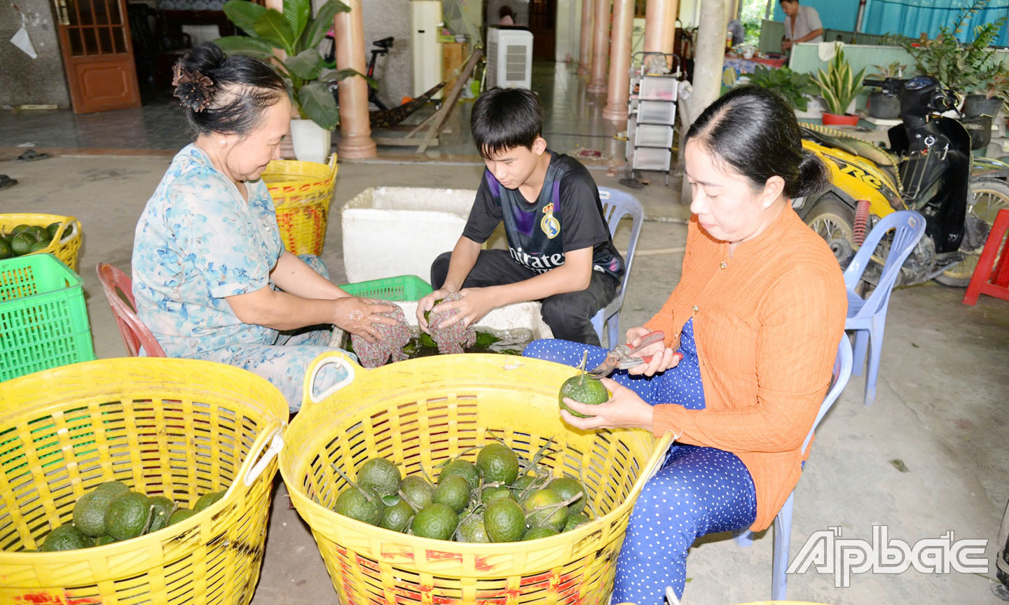 Huyện Cái Bè tập trung chăm lo, phát triển kinh tế cho nhân dân. 