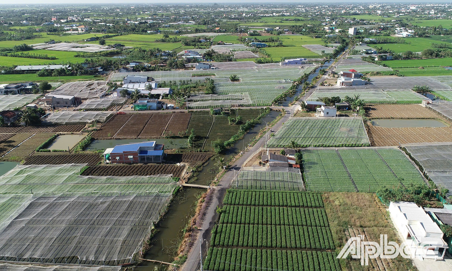 Việc ứng dụng khoa học - công nghệ vào sản xuất ngày càng được đẩy mạnh trên địa bàn Gò Công Đông. Ảnh: MINH THÀNH