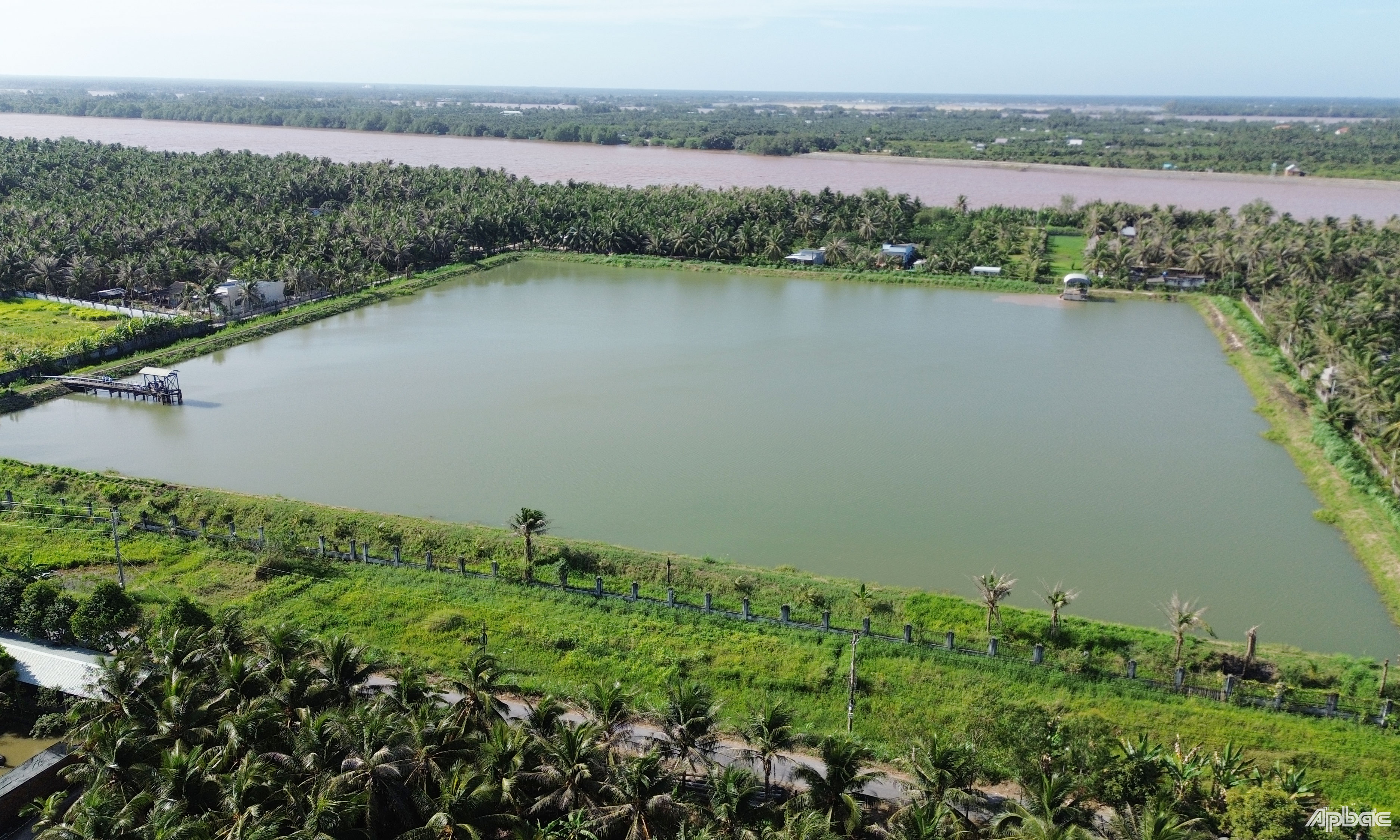 Công ty TNHH MTV Cấp nước Tiền Giang chủ động tích trữ nước tại các ao chứa ở khu vực phía Đông để sản xuất nước sinh hoạt. Đến nay, việc cung cấp nước sinh hoạt đảm bảo đủ cho người dân.