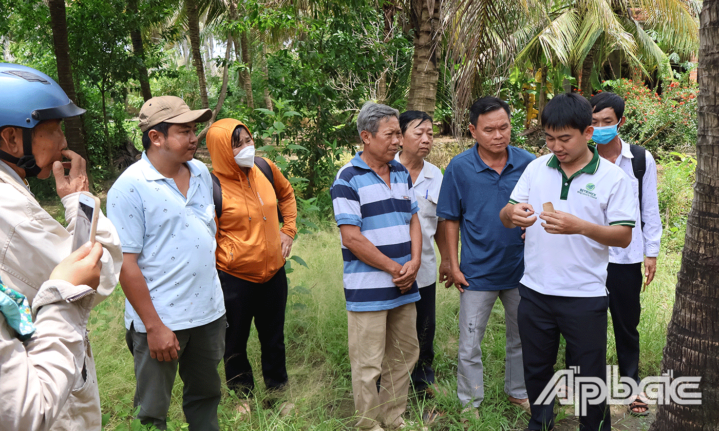Chi cục Trồng trọt và Bảo vệ thực vật tỉnh Tiền Giang phối hợp Viện Nghiên cứu Nông nghiệp Thành Thành Công tổ chức tập huấn áp dụng IPM trên sâu đầu đen hại dừa và thả ong ký sinh mẫu, tặng ong ký sinh cho nông dân trồng dừa xã Xuân Đông. Ảnh: PHƯƠNG MAI