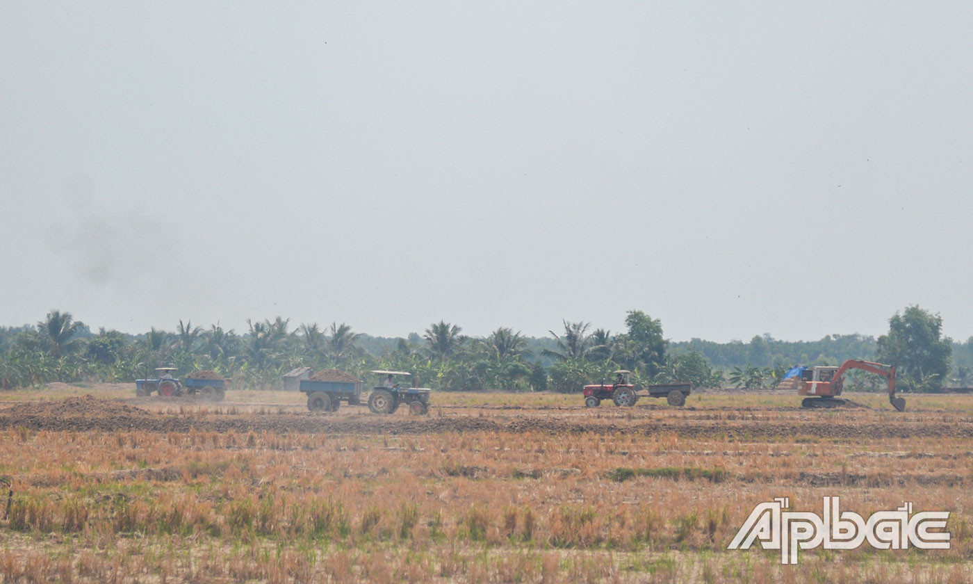 Cặp 2 bên đường ấp 3 Xóm Ao, thuộc xã Tân Phước, hoạt động khai thác đất mặt ruộng diễn ra rầm rộ.