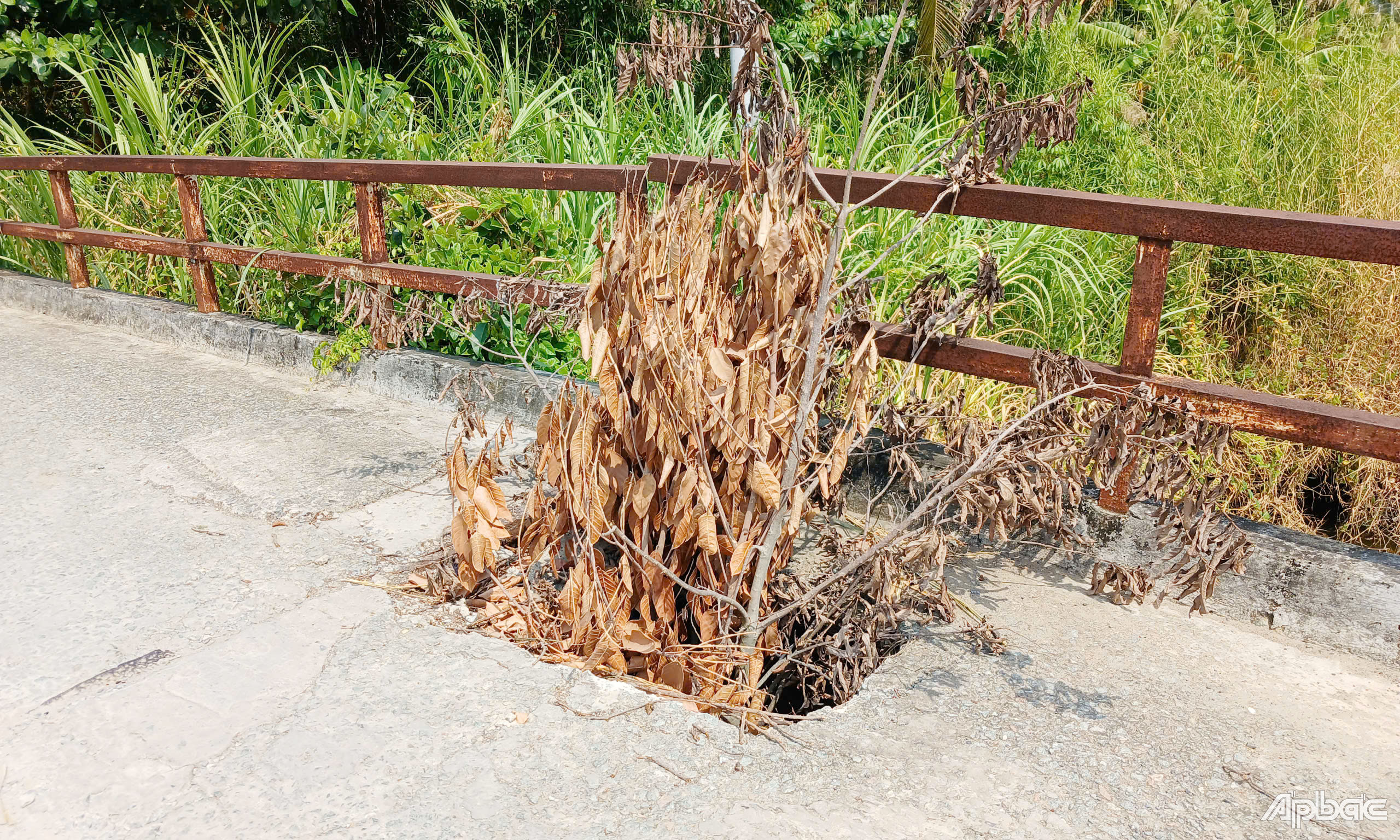 Mặt cầu hư hỏng nặng.