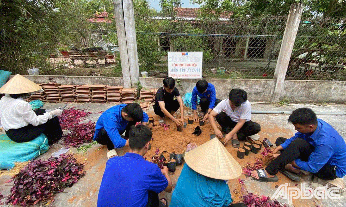 Thanh niên xã Long Trung, huyện Cai Lậy thực hiện công trình thanh niên vườn ươm cây xanh
