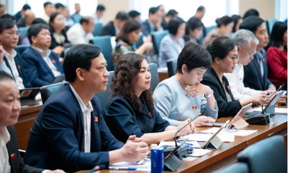 Đại biểu dự họp.
